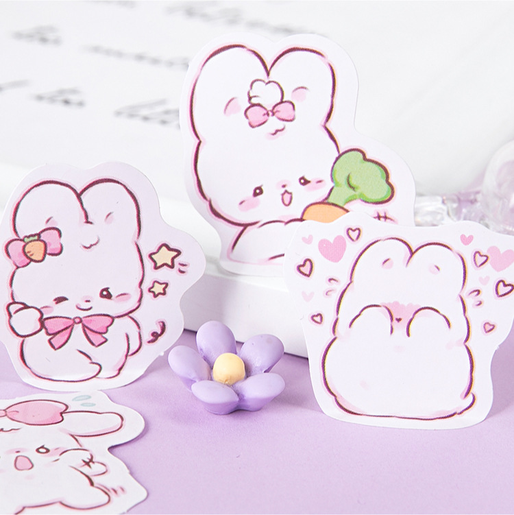 45 pcs/box Cute rabbit daily K - đánh giá và giá Planned Parenthood